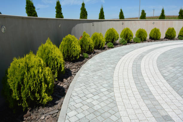 Best Custom Driveway Pavers  in Clintwood, VA